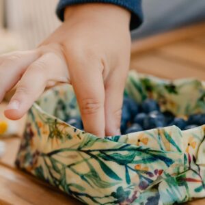 Looduslik toidu säiltaja