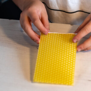 mesilasvahast meisterdamine