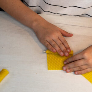 mesilasvahast meisterdamine